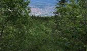 Excursión Senderismo Saint-Nizier-du-Moucherotte - Un petit AR sur le sentier du Périmètre  - Photo 7