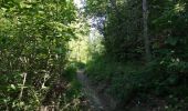 Tour Wandern Chorges - Circuit de Serre Cocu.  - Photo 5