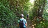 Trail Walking Blegny - 20230615 - Balade ornithologique Blegny-Mine - 4.4 Km - Photo 11