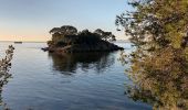 Tour Wandern La Londe-les-Maures - Plage de l'Argentière à Cabasson en A/R-14-01-22 - Photo 5