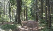 Trail Walking Andenne - 20190702 Kevret - Photo 11