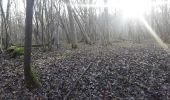 Excursión Senderismo Brou-sur-Chantereine - brou 18-12 - Photo 12