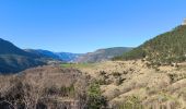Tour Wandern Ispagnac - Salancon/ Le Rocher de la Table/ Lonjagnes - Photo 5