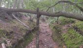 Tour Wandern Châtenay-Malabry - Verrières  - Photo 4