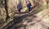Trail Nordic walking Dison - andrimont_28_02_2021 - Photo 4