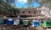 Randonnée Marche Correns - Le patrimoine - l'Argens - Le village - Photo 13