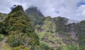 Randonnée Marche La Possession - Réunion jour 1 - Photo 12