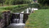 Tocht Te voet Schwarzenbruck - Burgthann Walking König-Ludwig-Runde - Photo 4