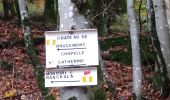 Trail Walking Sentheim - Montori - Photo 7