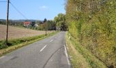 Tocht Te voet Rotenburg an der Fulda - Rotenburg Wanderweg R2 - Photo 6