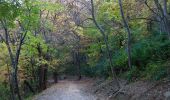 Tour Zu Fuß Triest - Strada Basovizzana - Photo 3