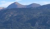 Tour Wandern Font-Romeu-Odeillo-Via - 20210701 boucle depuis Farneils - Photo 6