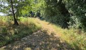Percorso Marcia Cerelles - Cerelles - Bois de Lignière - Photo 8