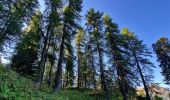 Trail Walking Crots - Crête du Lauzet - Photo 4