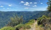 Tocht Stappen Meyrueis - Meyruis L’Esperou 26 km - Tour du mont Aigual  étape 3 - Photo 1