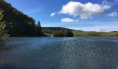 Percorso Marcia Besse-et-Saint-Anastaise - Lac Pavin et Lac de Moncynère - Photo 1