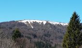 Tocht Stappen Sewen - Lac d'Alfed et sa cascade - Lac des Perches  - Lac du Newiher - Photo 13