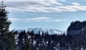 Tour Schneeschuhwandern Autrans-Méaudre en Vercors - 17-03-19  raquettes Autrans - Photo 4