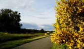 Tour Zu Fuß Unknown - Sandglöckchenweg - Photo 3