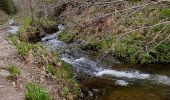 Randonnée Marche Waimes - Ovifat Peak Brune - Photo 16