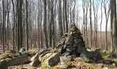 Randonnée A pied Louňovice - NS - Voděradské bučiny - Photo 4