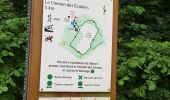 Randonnée Marche Ventes-Saint-Rémy - Forêt d'Eawy rando douce - Photo 7