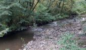 Excursión Senderismo Mauriac - le trou du loup - Photo 10