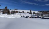 Randonnée Raquettes à neige La Pesse - L'Embossieux-La Croix des couloirs-La Pesse - Photo 15