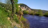 Trail Walking Castelnaud-la-Chapelle - Vézac 20,5km - Photo 4