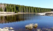 Tour Wandern Besse-et-Saint-Anastaise - Tracé actuel: 23 MARS 2019 12:57 - Photo 6