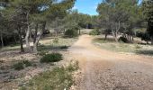 Tour Wandern Roquefort-la-Bédoule - Ceyreste  grand Caunet Roland - Photo 3