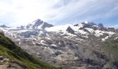 Randonnée Marche Chamonix-Mont-Blanc - Refuge Albert 1er - Photo 18