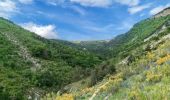 Randonnée Marche Le Saix - Montagne d'Aujour en boucle - Photo 1