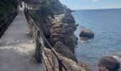 Tour Wandern Camogli - Punta Chiara 2.5.23 - Photo 13