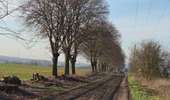Trail Walking Les Bons Villers - Mellet - Saint-Amand - Photo 2
