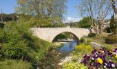 Trail Walking Valbonne - garbejaire aqueduc romain biot brague - Photo 10