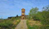 Tour Wandern Doische - Balade de Doische à Foisches - Photo 14