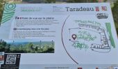 Excursión Senderismo Taradeau - Taradeau Table d orientation - Oppidum - Photo 6