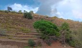 Tour Wandern Port-Vendres - batterie - collioure . fort sant elme .port vendres . la mauresque - Photo 13