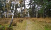 Trail On foot Kalmthout - Wandelpad Bos - Photo 4
