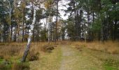 Tocht Te voet Kalmthout - Wandelpad Rups - Photo 2