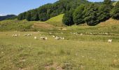 Excursión Senderismo IRIGOIN - Col etari - Photo 1