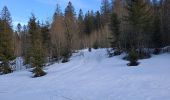 Trail Cross-country skiing Les Fourgs - Piste du Voirnon - Photo 4
