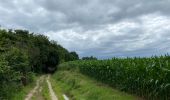 Tocht Stappen Tervuren - Le long du Voer - Photo 10