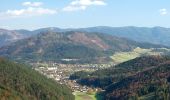 Tour Zu Fuß Gemeinde Muggendorf - Myrafälle - Karnerwirt - Hausstein - Wildgehege - Myrafälle - Photo 5