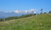 Tocht Stappen Peisey-Nancroix - Peisey Vallandry Les Rossets Col d'Entreporte  - Photo 4