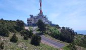 Tocht Stappen La Vacquerie-et-Saint-Martin-de-Castries - La Vacquerie St Guilhem  - Photo 5