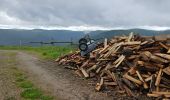 Tour Wandern Xonrupt-Longemer - 2024 RA Vosges J3 tour du schiessrothried - Photo 12