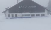 Tour Schneeschuhwandern Gerdsee - Gerardmer raquettes 5 - Photo 2