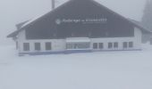 Trail Snowshoes Gérardmer - Gerardmer raquettes 5 - Photo 2